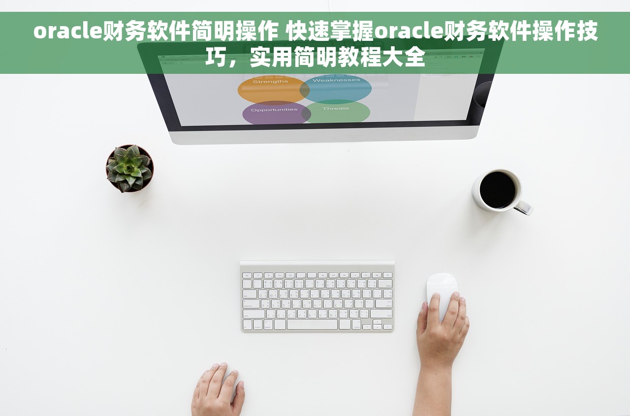 oracle财务软件简明操作 快速掌握oracle财务软件操作技巧，实用简明教程大全