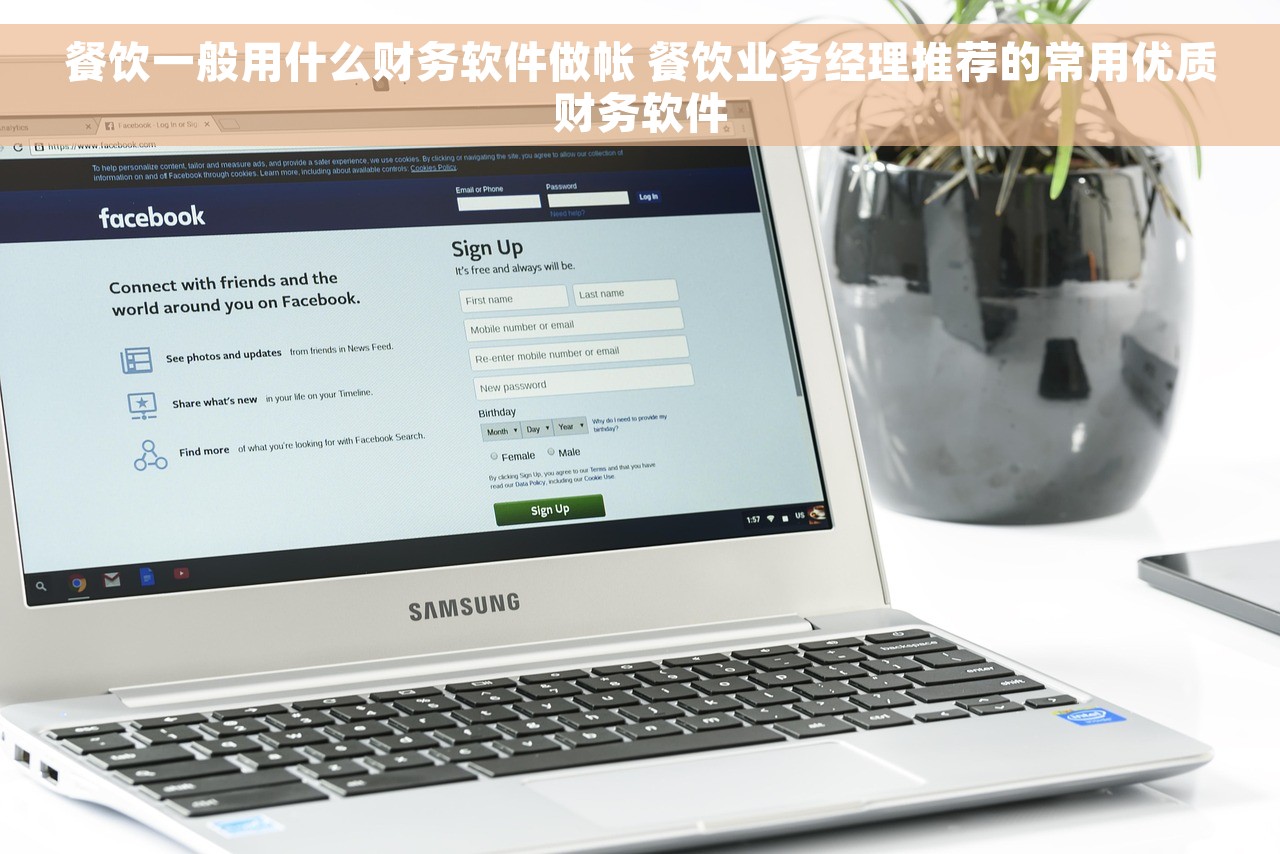 餐饮一般用什么财务软件做帐 餐饮业务经理推荐的常用优质财务软件