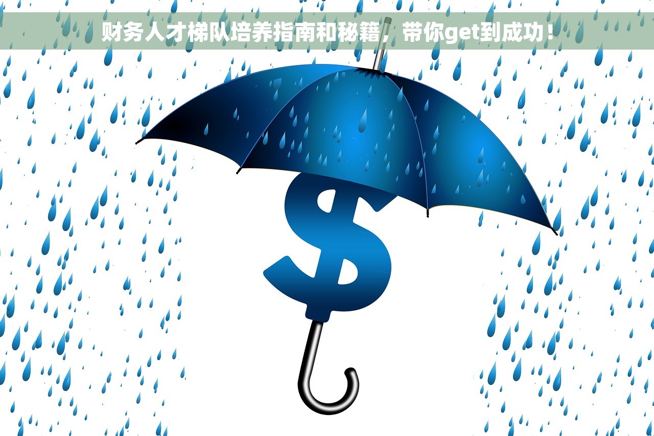 财务人才梯队培养指南和秘籍，带你get到成功！
