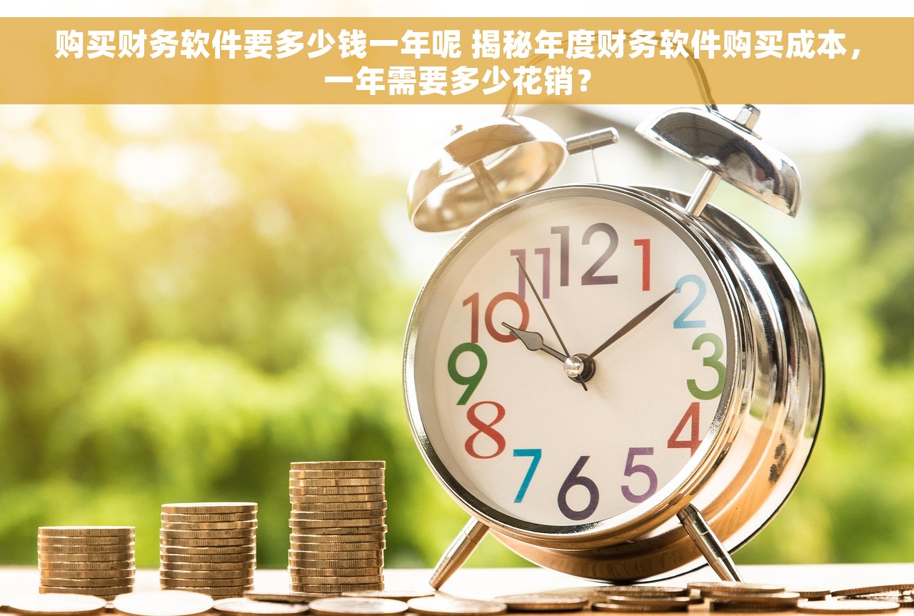 购买财务软件要多少钱一年呢 揭秘年度财务软件购买成本，一年需要多少花销？