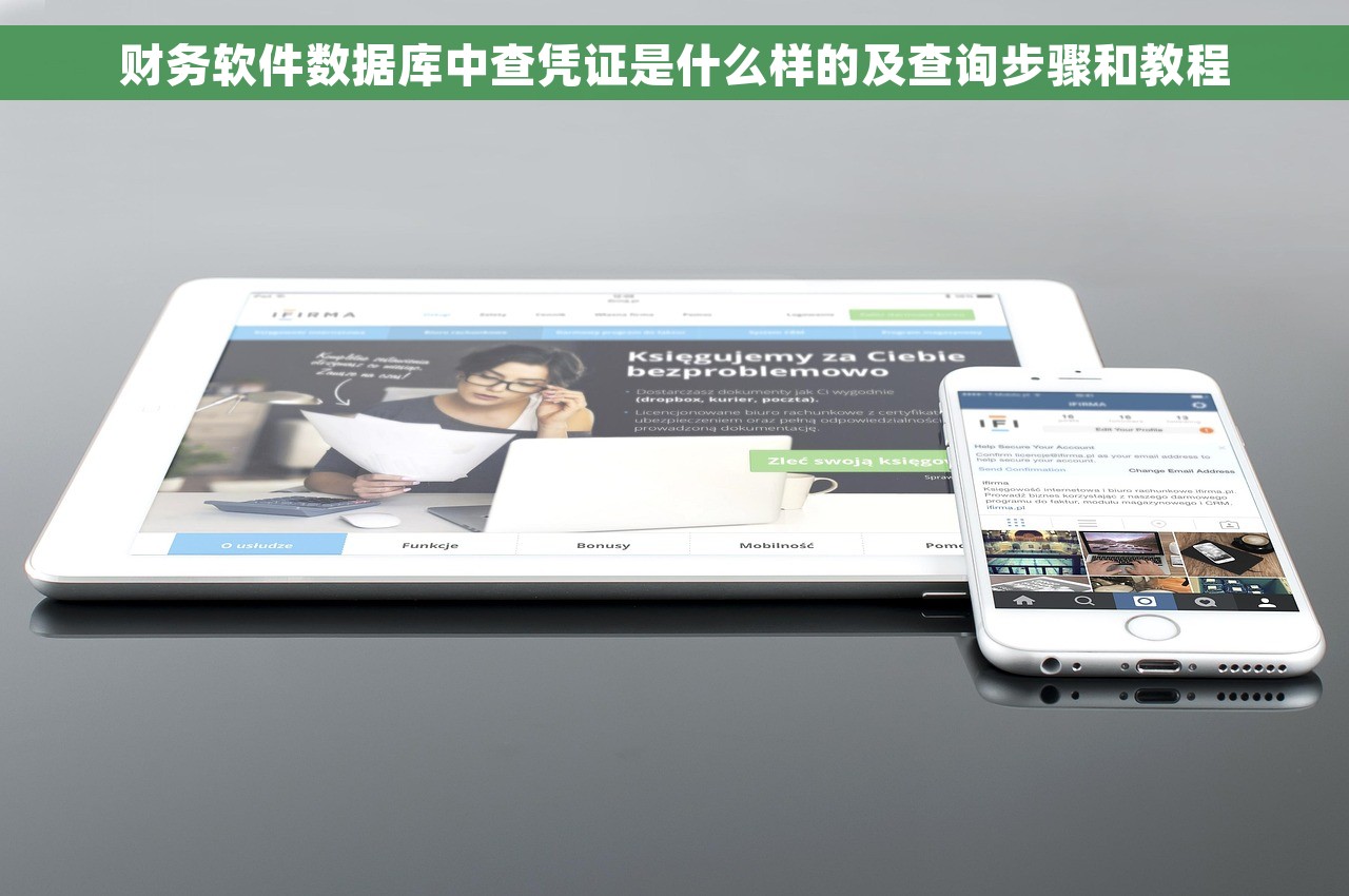 财务软件数据库中查凭证是什么样的及查询步骤和教程