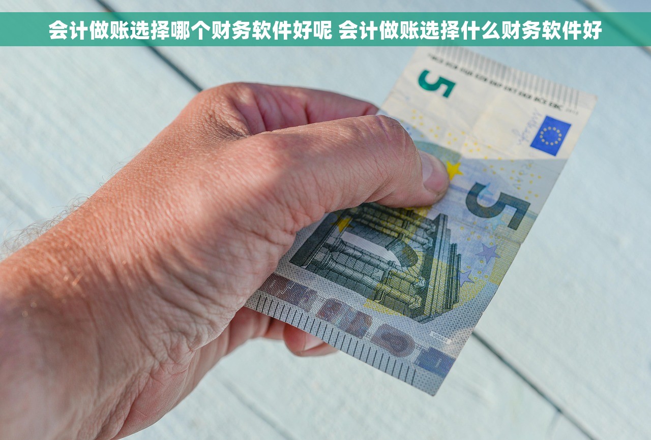 会计做账选择哪个财务软件好呢 会计做账选择什么财务软件好