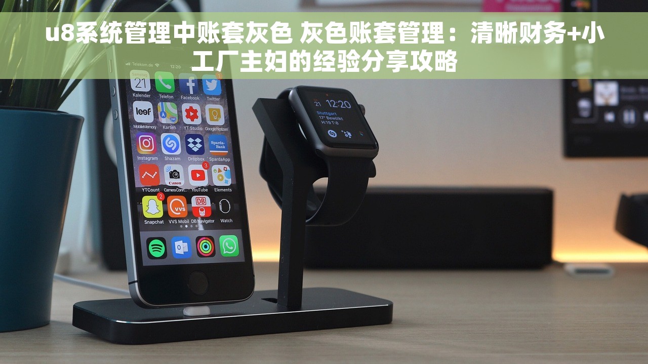u8系统管理中账套灰色 灰色账套管理：清晰财务+小工厂主妇的经验分享攻略