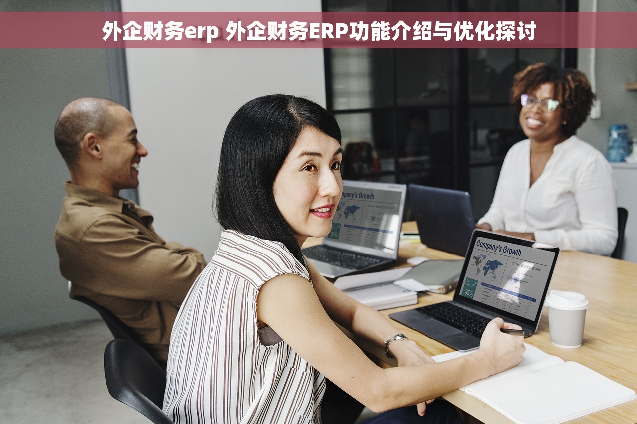 外企财务erp 外企财务ERP功能介绍与优化探讨