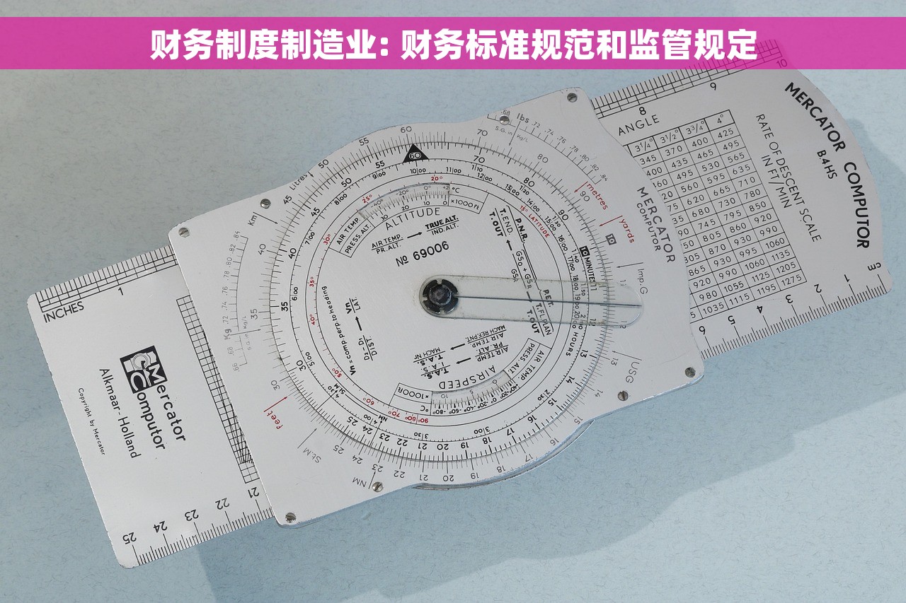 财务制度制造业: 财务标准规范和监管规定