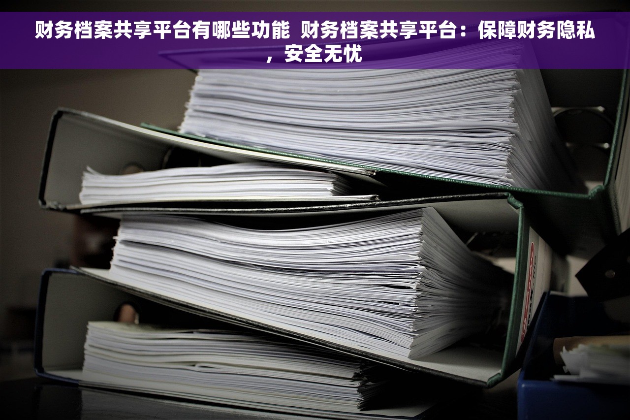 财务档案共享平台有哪些功能  财务档案共享平台：保障财务隐私，安全无忧 