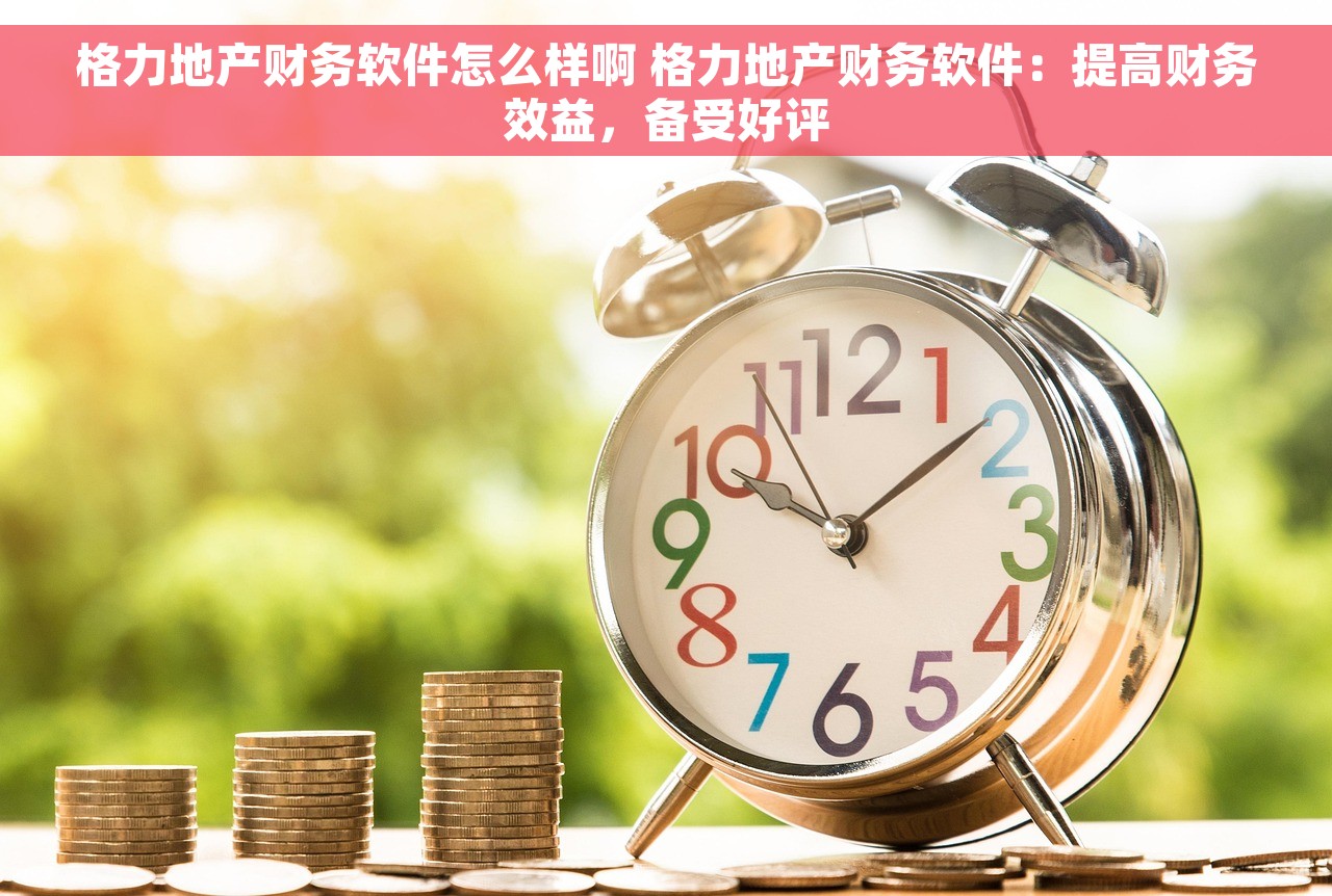 格力地产财务软件怎么样啊 格力地产财务软件：提高财务效益，备受好评
