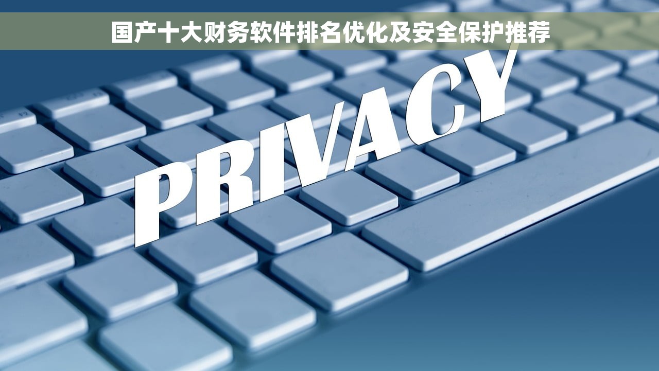 国产十大财务软件排名优化及安全保护推荐