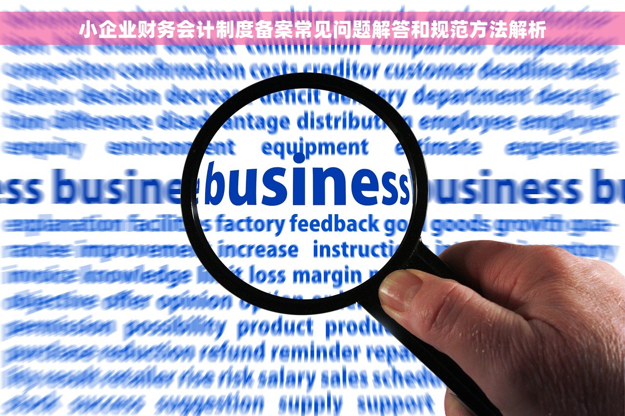 小企业财务会计制度备案常见问题解答和规范方法解析