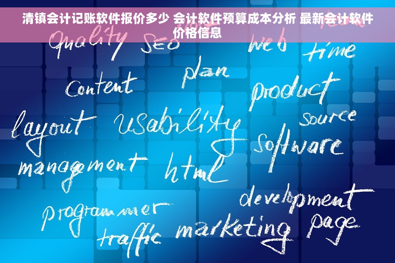 清镇会计记账软件报价多少 会计软件预算成本分析 最新会计软件价格信息