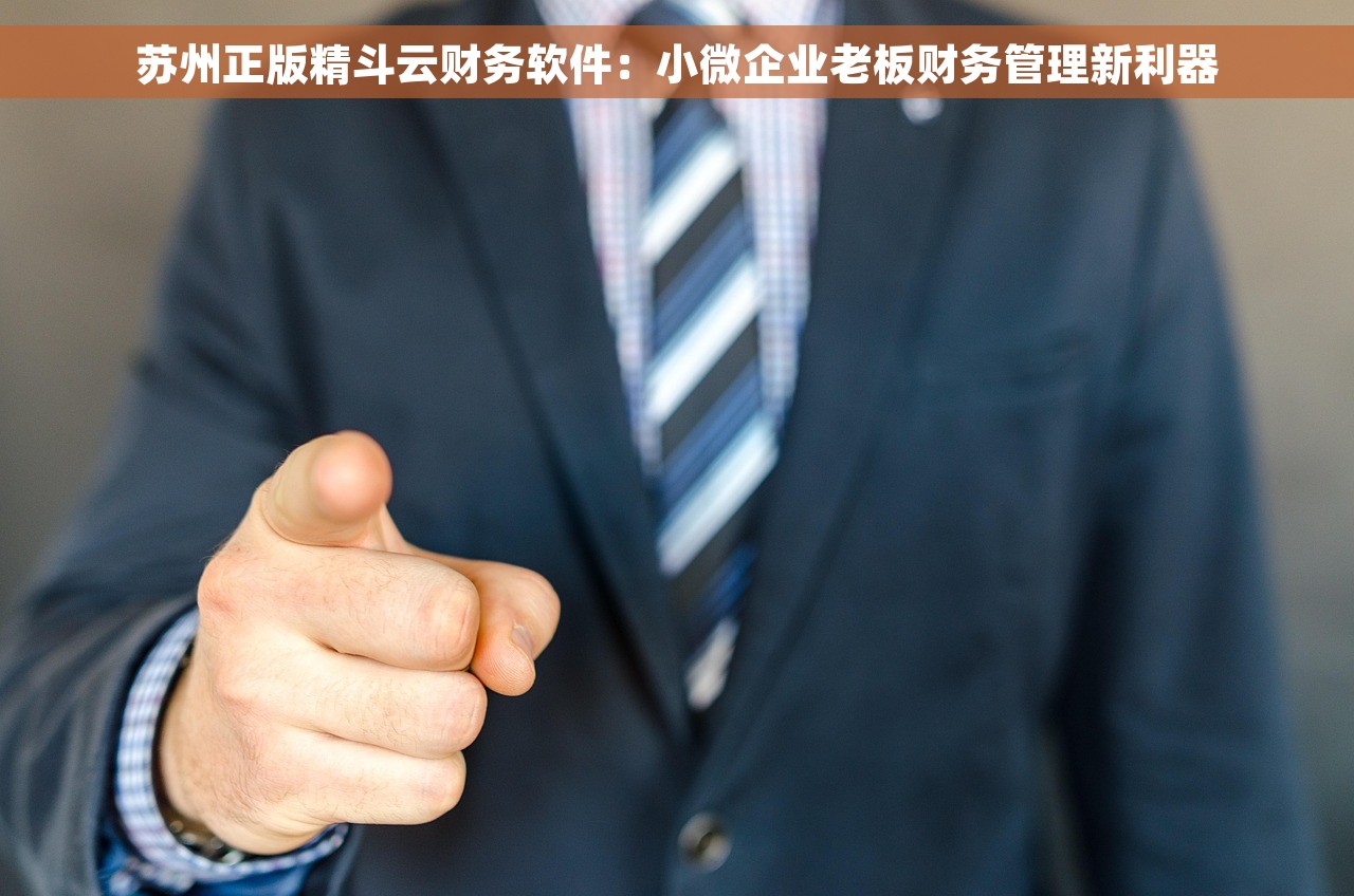 苏州正版精斗云财务软件：小微企业老板财务管理新利器
