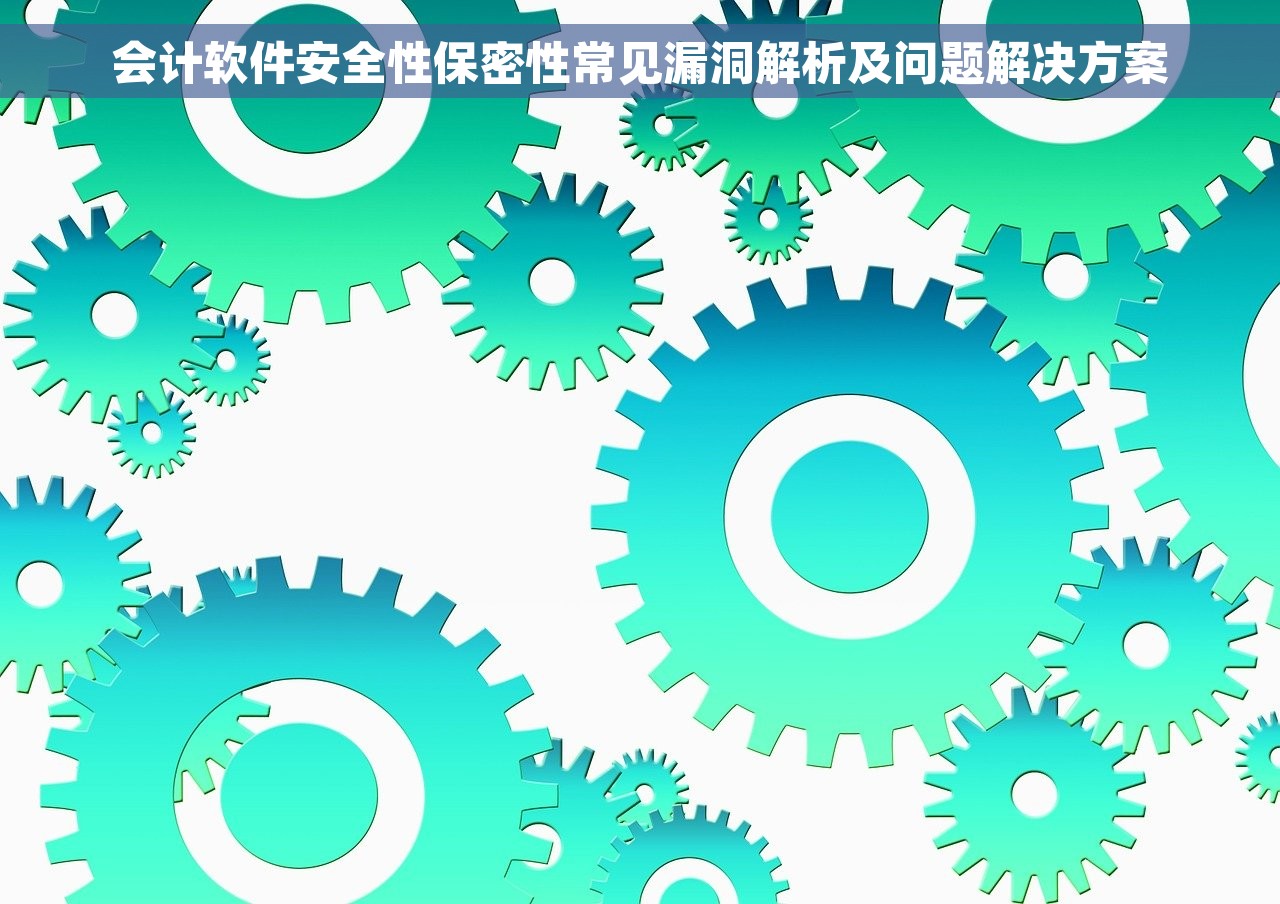 会计软件安全性保密性常见漏洞解析及问题解决方案