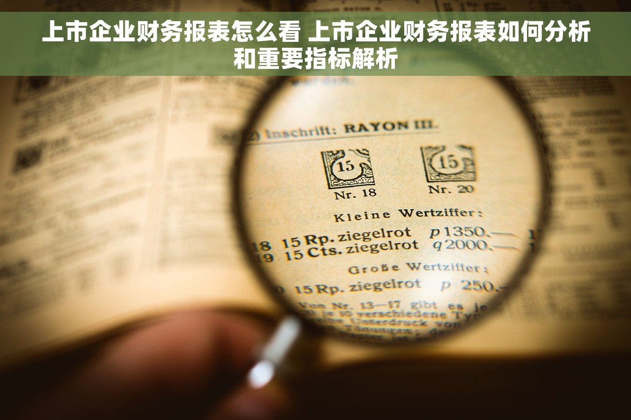 上市企业财务报表怎么看 上市企业财务报表如何分析和重要指标解析