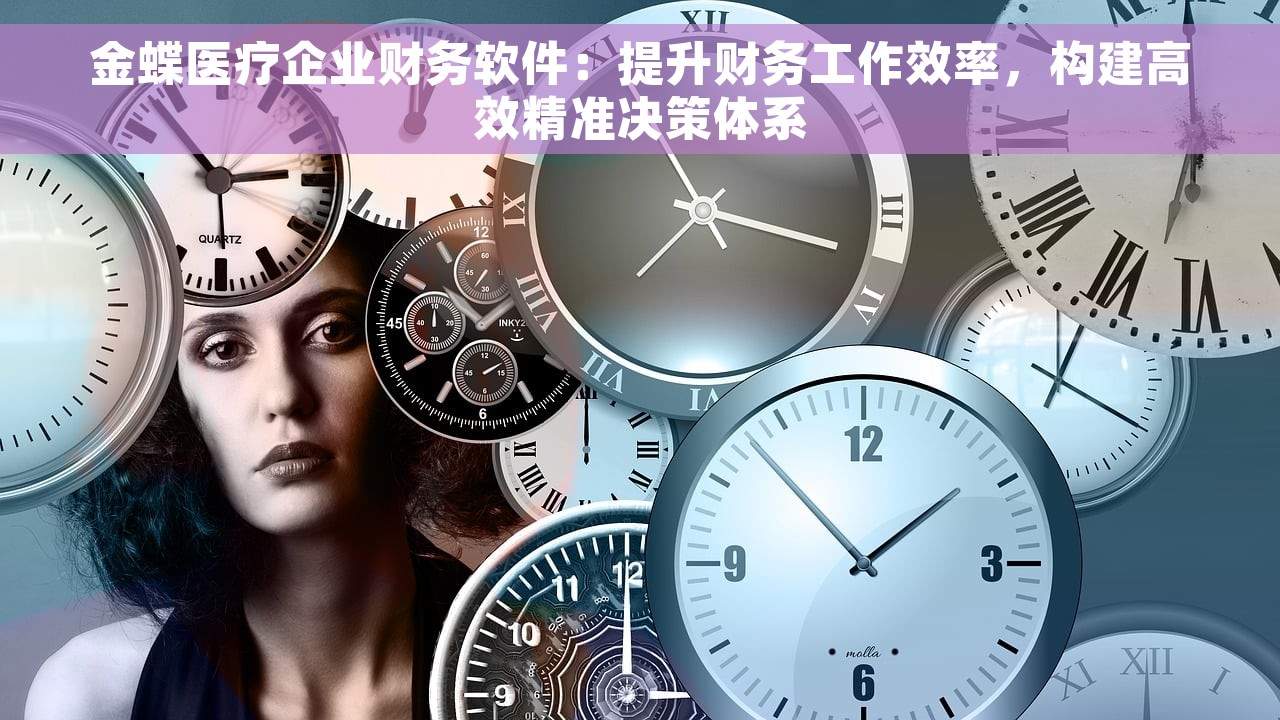 金蝶医疗企业财务软件：提升财务工作效率，构建高效精准决策体系