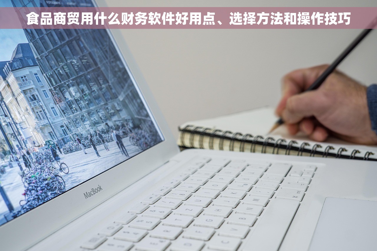 食品商贸用什么财务软件好用点、选择方法和操作技巧