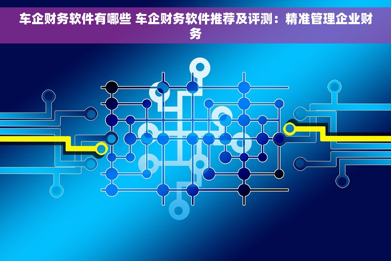 车企财务软件有哪些 车企财务软件推荐及评测：精准管理企业财务