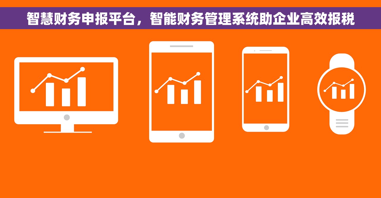 智慧财务申报平台，智能财务管理系统助企业高效报税