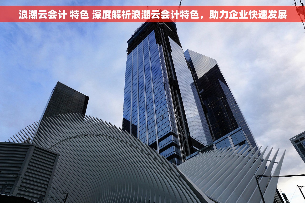 浪潮云会计 特色 深度解析浪潮云会计特色，助力企业快速发展