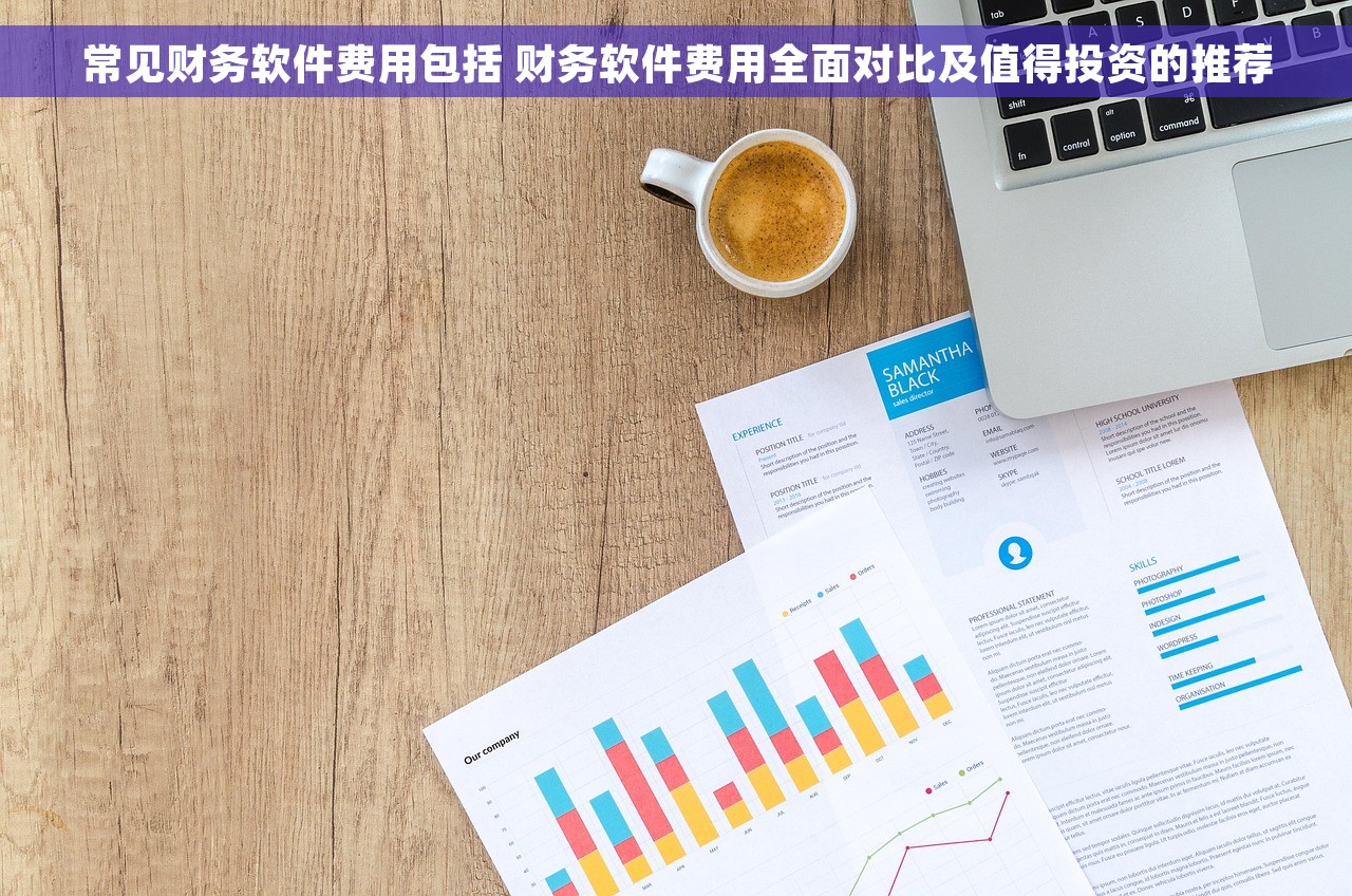 常见财务软件费用包括 财务软件费用全面对比及值得投资的推荐