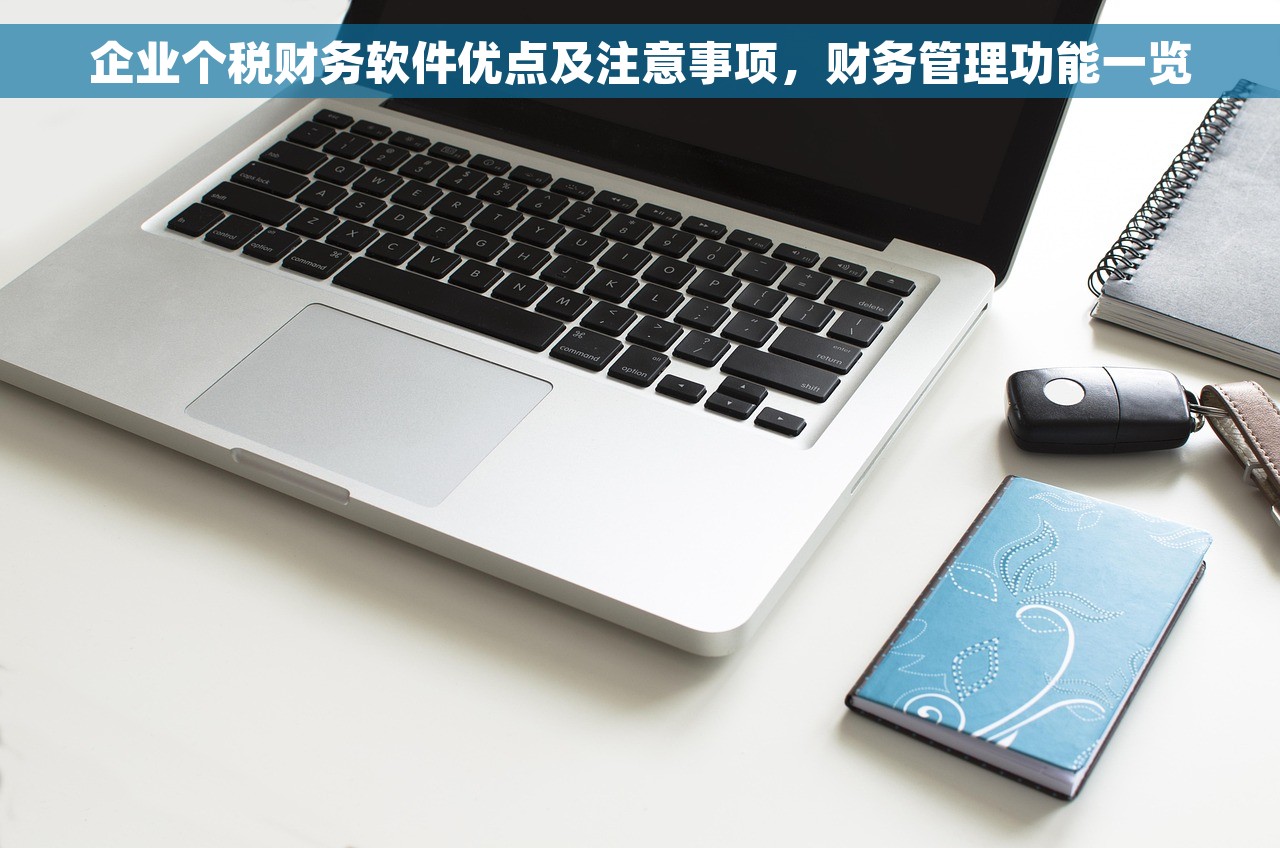 企业个税财务软件优点及注意事项，财务管理功能一览