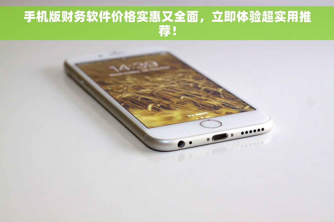 手机版财务软件价格实惠又全面，立即体验超实用推荐！