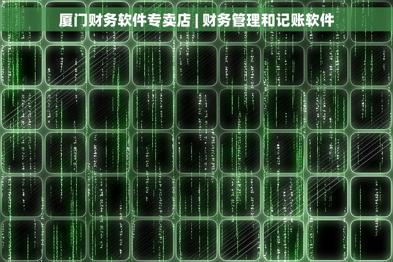 厦门财务软件专卖店 | 财务管理和记账软件 厦门财务软件专卖店 | 财务管理和记账软件