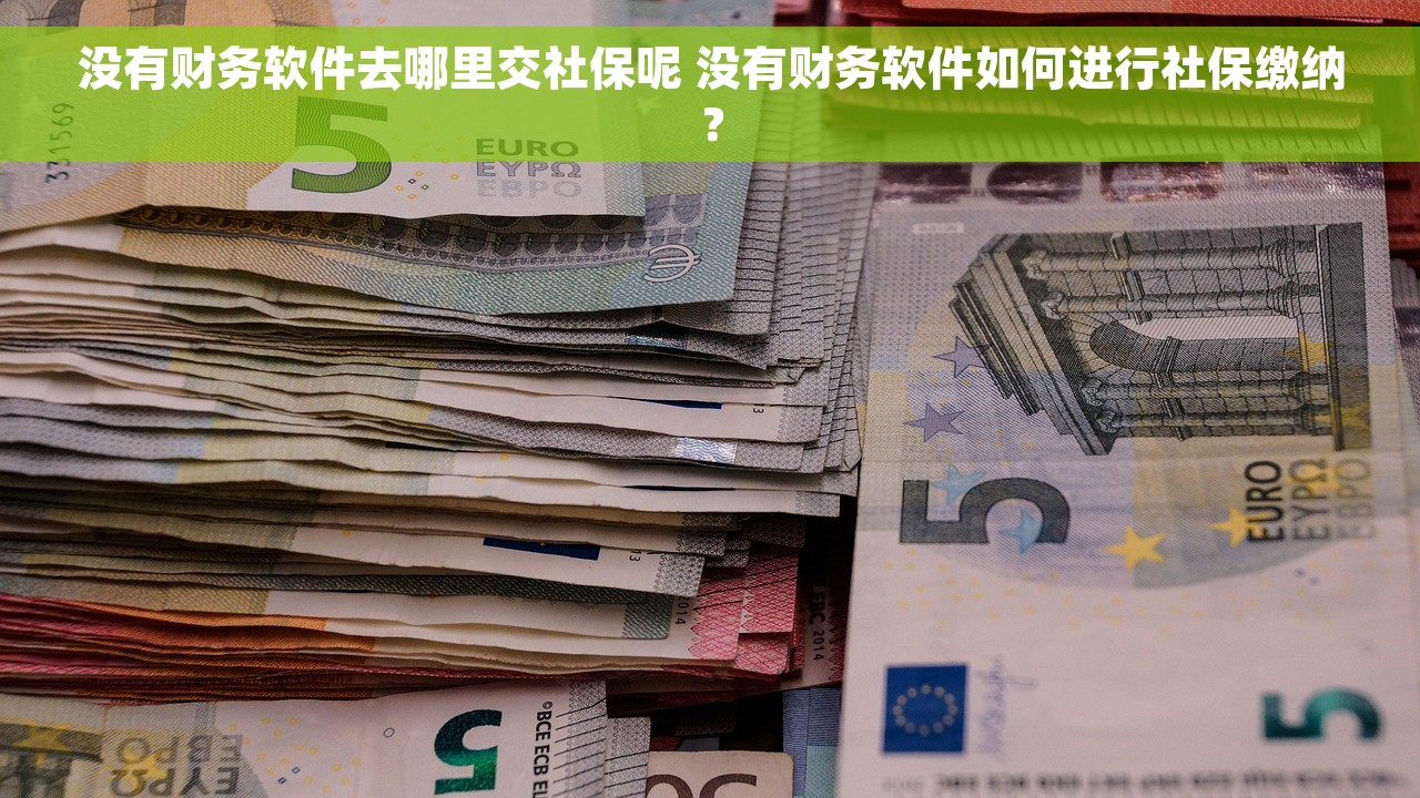 没有财务软件去哪里交社保呢 没有财务软件如何进行社保缴纳？