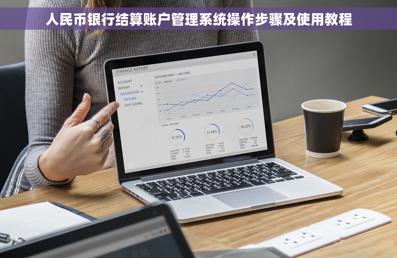 人民币银行结算账户管理系统操作步骤及使用教程