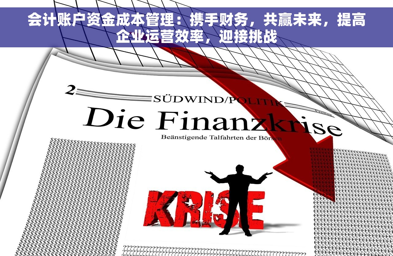 会计账户资金成本管理：携手财务，共赢未来，提高企业运营效率，迎接挑战