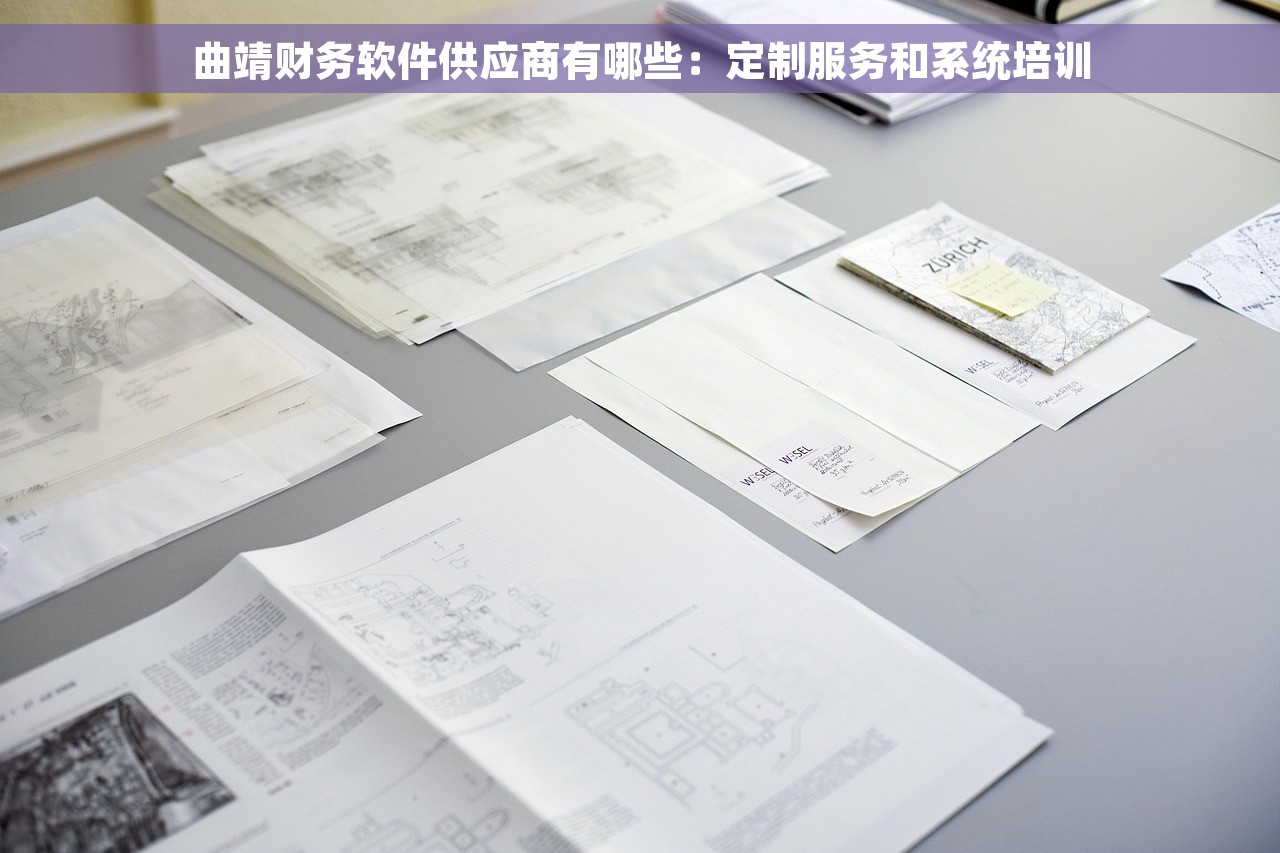 曲靖财务软件供应商有哪些:定制服务和系统培训 曲靖财务软件供应商有哪些:定制服务和系统培训