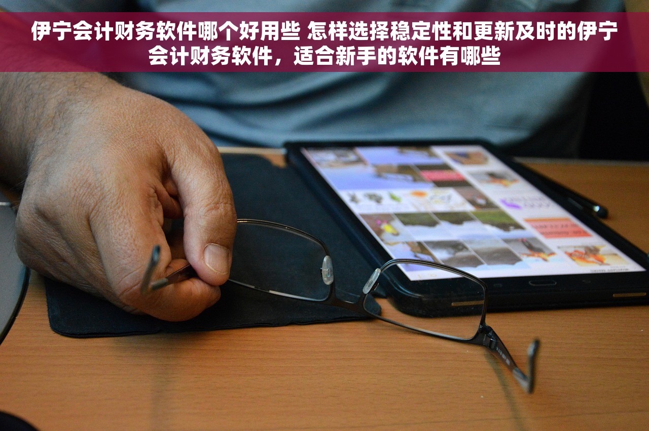 伊宁会计财务软件哪个好用些 怎样选择稳定性和更新及时的伊宁会计财务软件，适合新手的软件有哪些