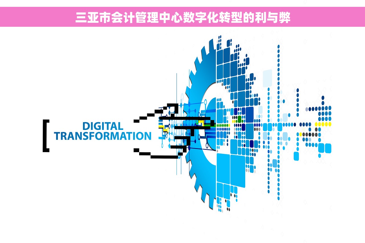 三亚市会计管理中心数字化转型的利与弊