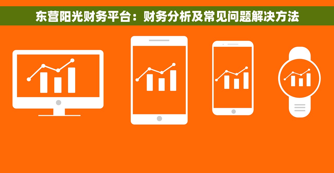 东营阳光财务平台：财务分析及常见问题解决方法