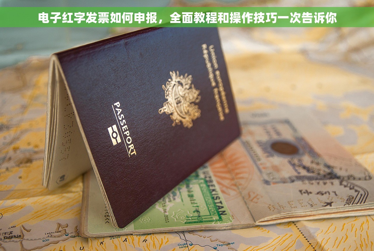 电子红字发票如何申报，全面教程和操作技巧一次告诉你