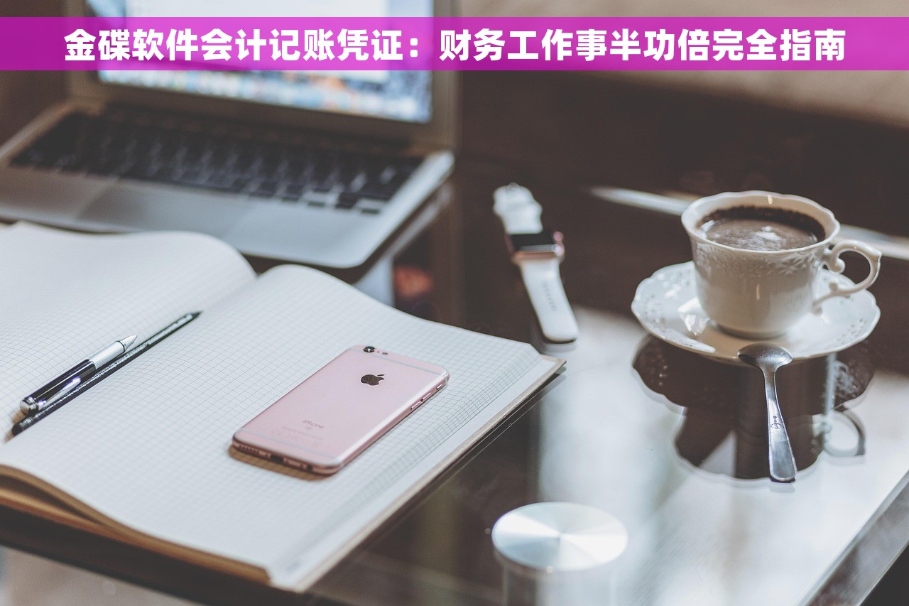 金碟软件会计记账凭证：财务工作事半功倍完全指南