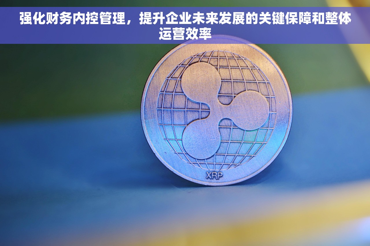 强化财务内控管理，提升企业未来发展的关键保障和整体运营效率