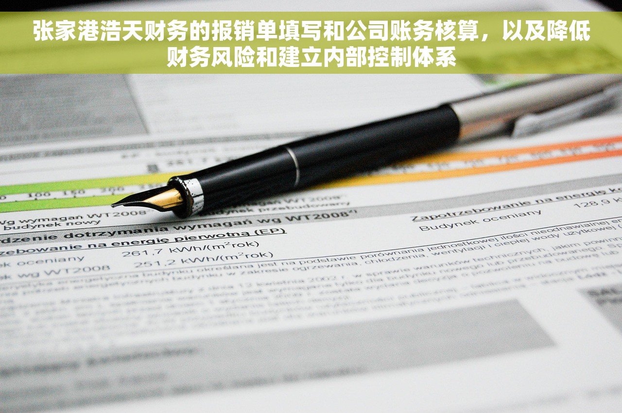 张家港浩天财务的报销单填写和公司账务核算，以及降低财务风险和建立内部控制体系