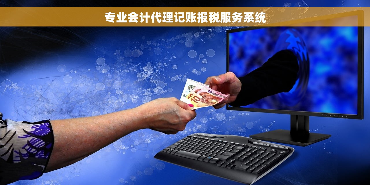 专业会计代理记账报税服务系统