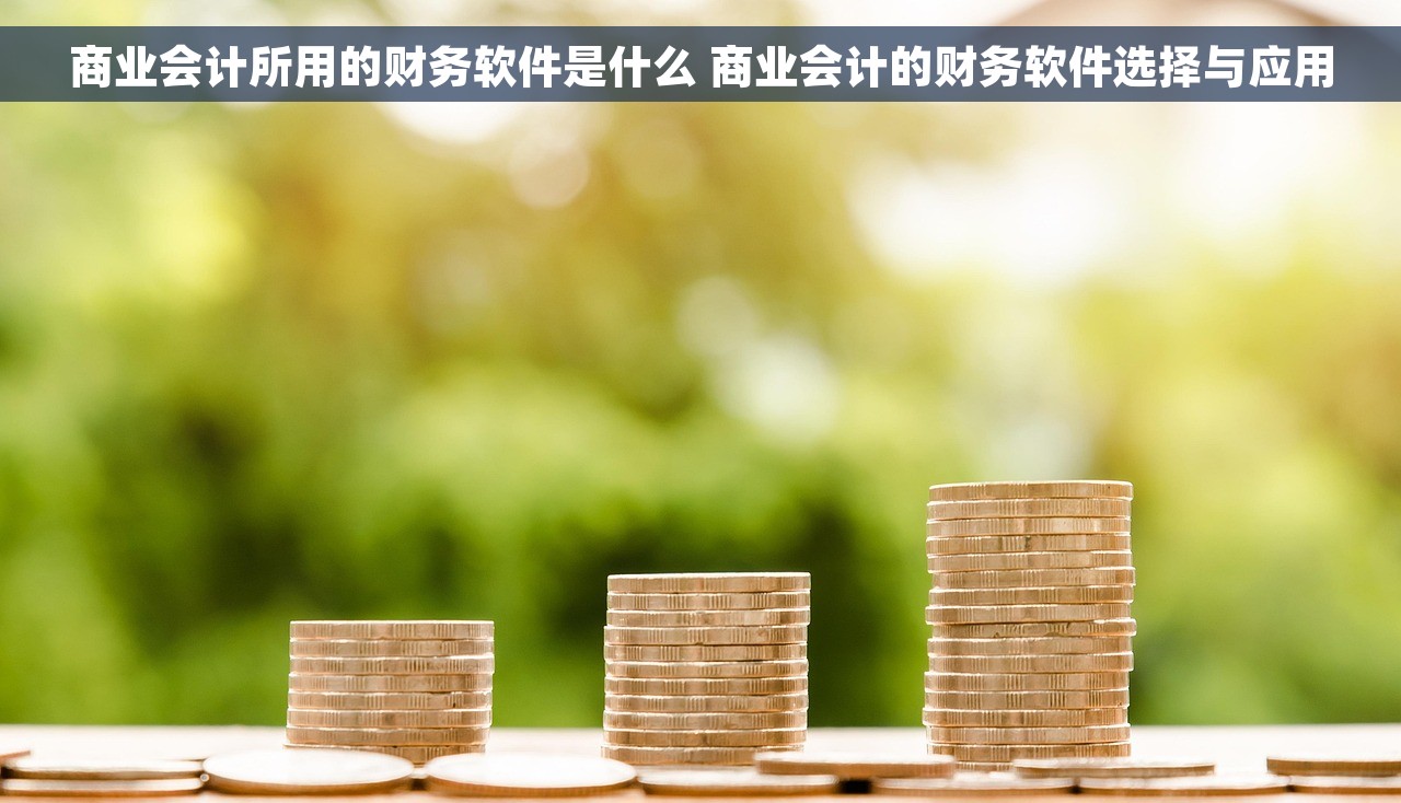 商业会计所用的财务软件是什么 商业会计的财务软件选择与应用