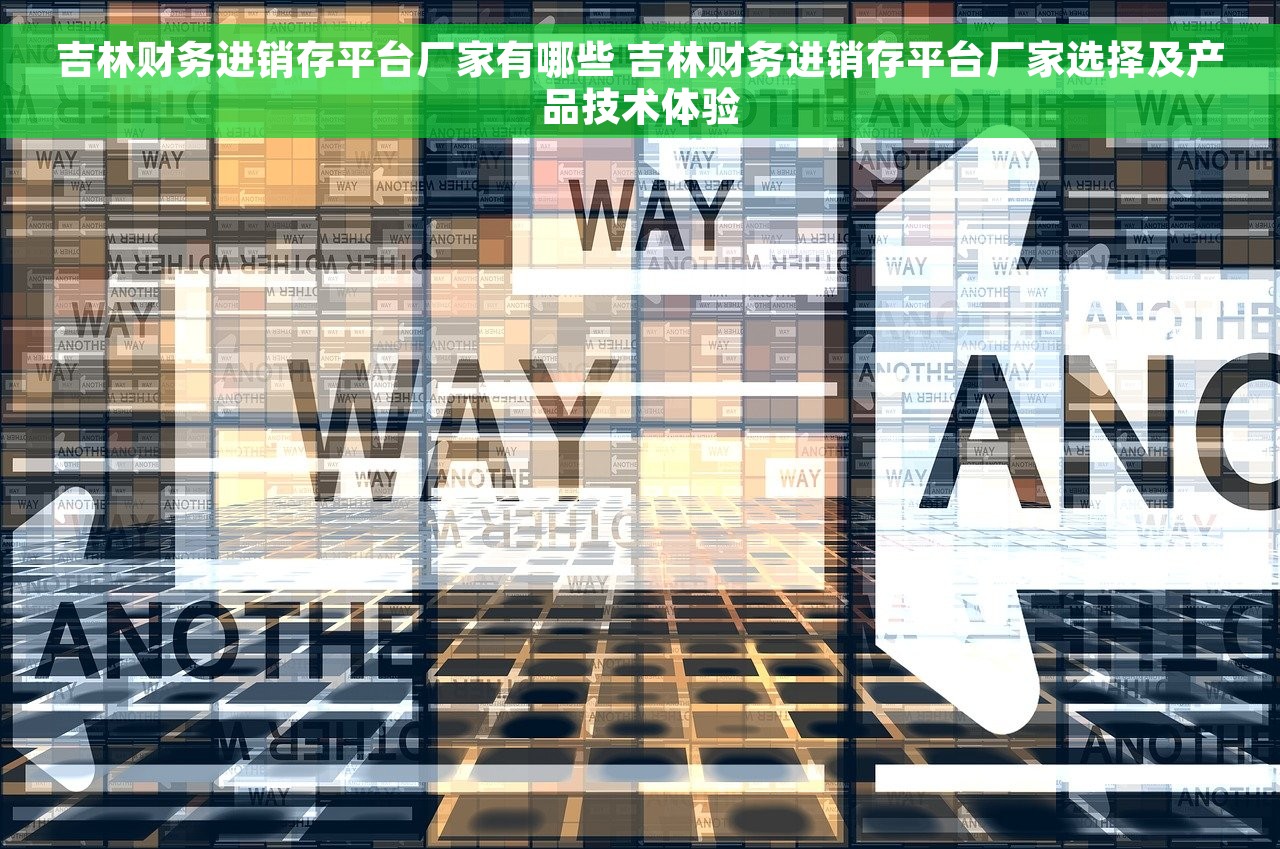 吉林财务进销存平台厂家有哪些 吉林财务进销存平台厂家选择及产品技术体验