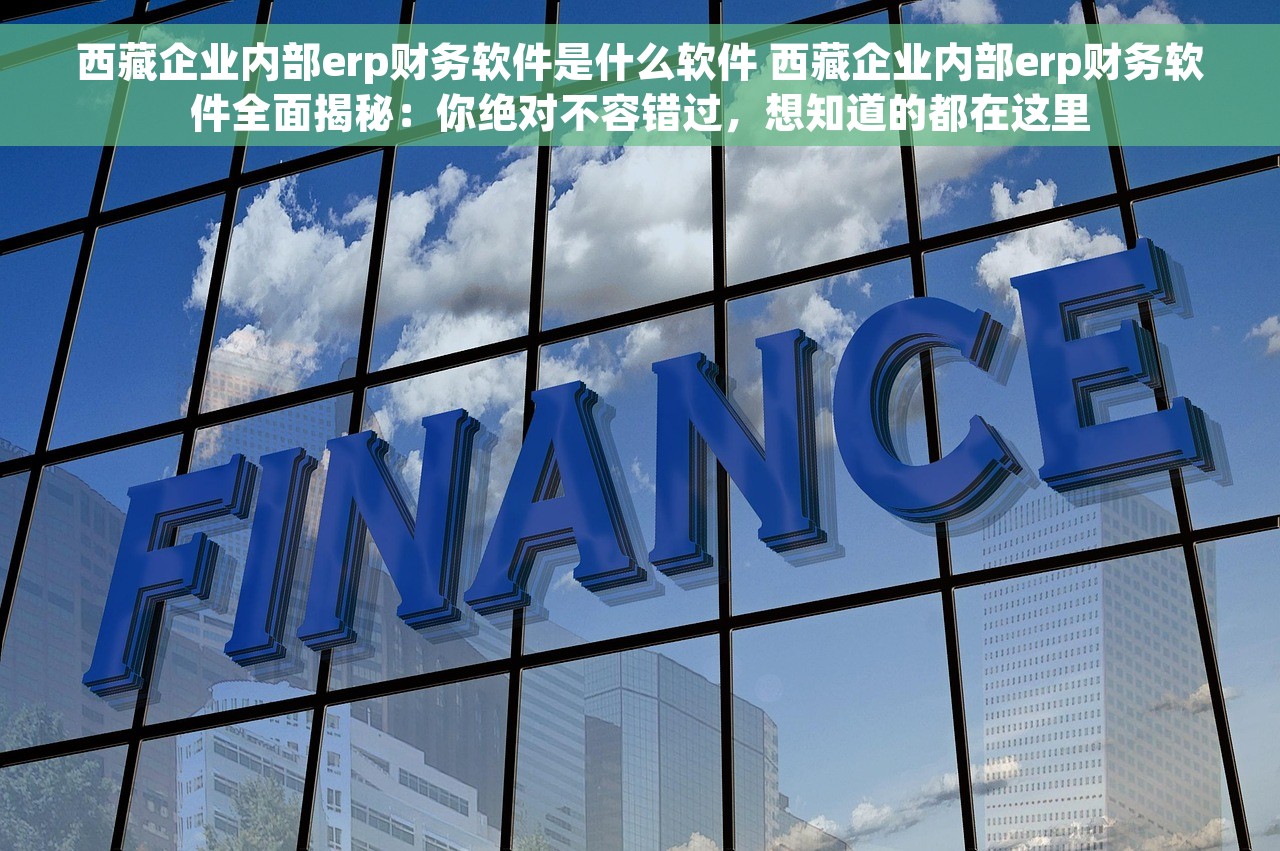 西藏企业内部erp财务软件是什么软件 西藏企业内部erp财务软件全面揭秘：你绝对不容错过，想知道的都在这里