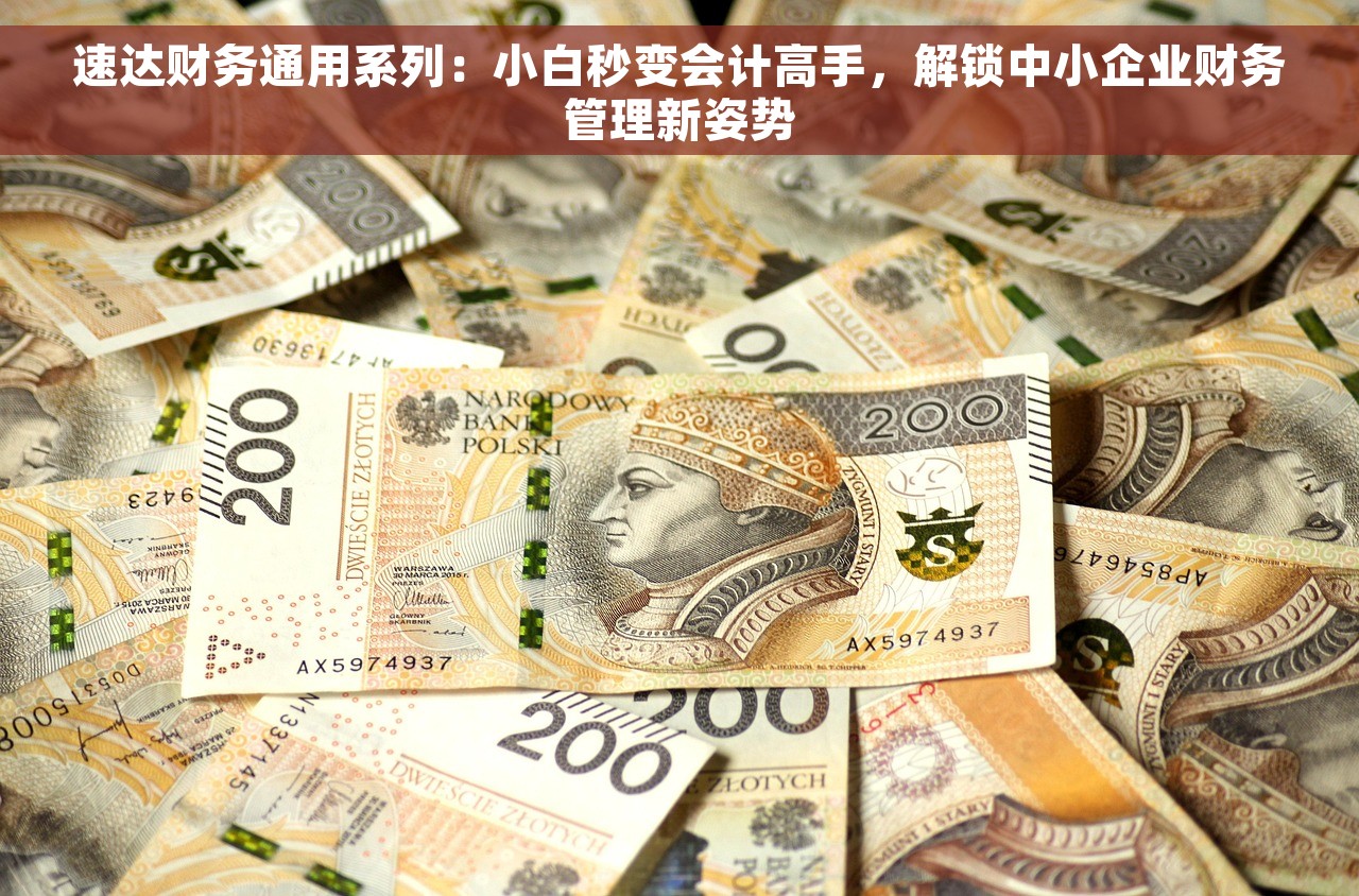 速达财务通用系列：小白秒变会计高手，解锁中小企业财务管理新姿势