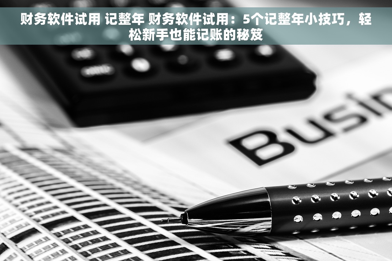 财务软件试用 记整年 财务软件试用：5个记整年小技巧，轻松新手也能记账的秘笈