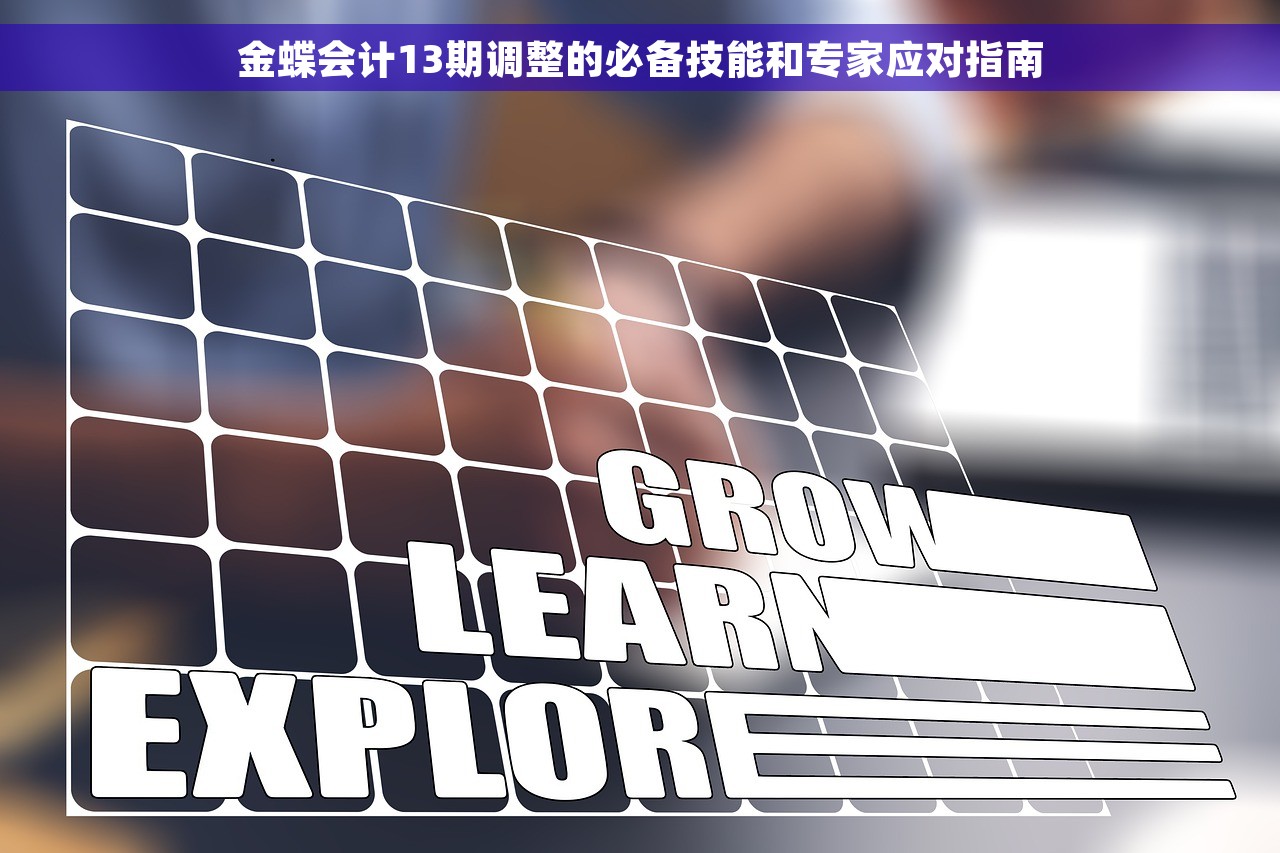 金蝶会计13期调整的必备技能和专家应对指南