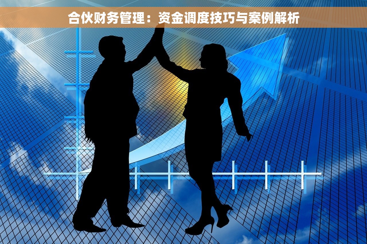 合伙财务管理：资金调度技巧与案例解析