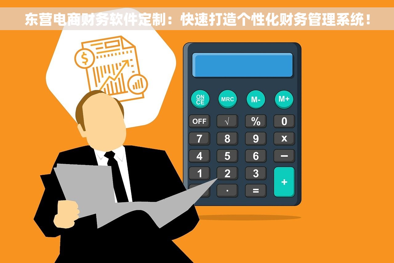 东营电商财务软件定制：快速打造个性化财务管理系统！