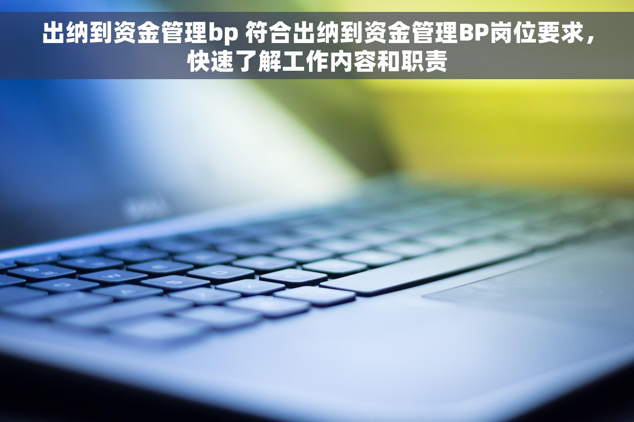 出纳到资金管理bp 符合出纳到资金管理BP岗位要求，快速了解工作内容和职责