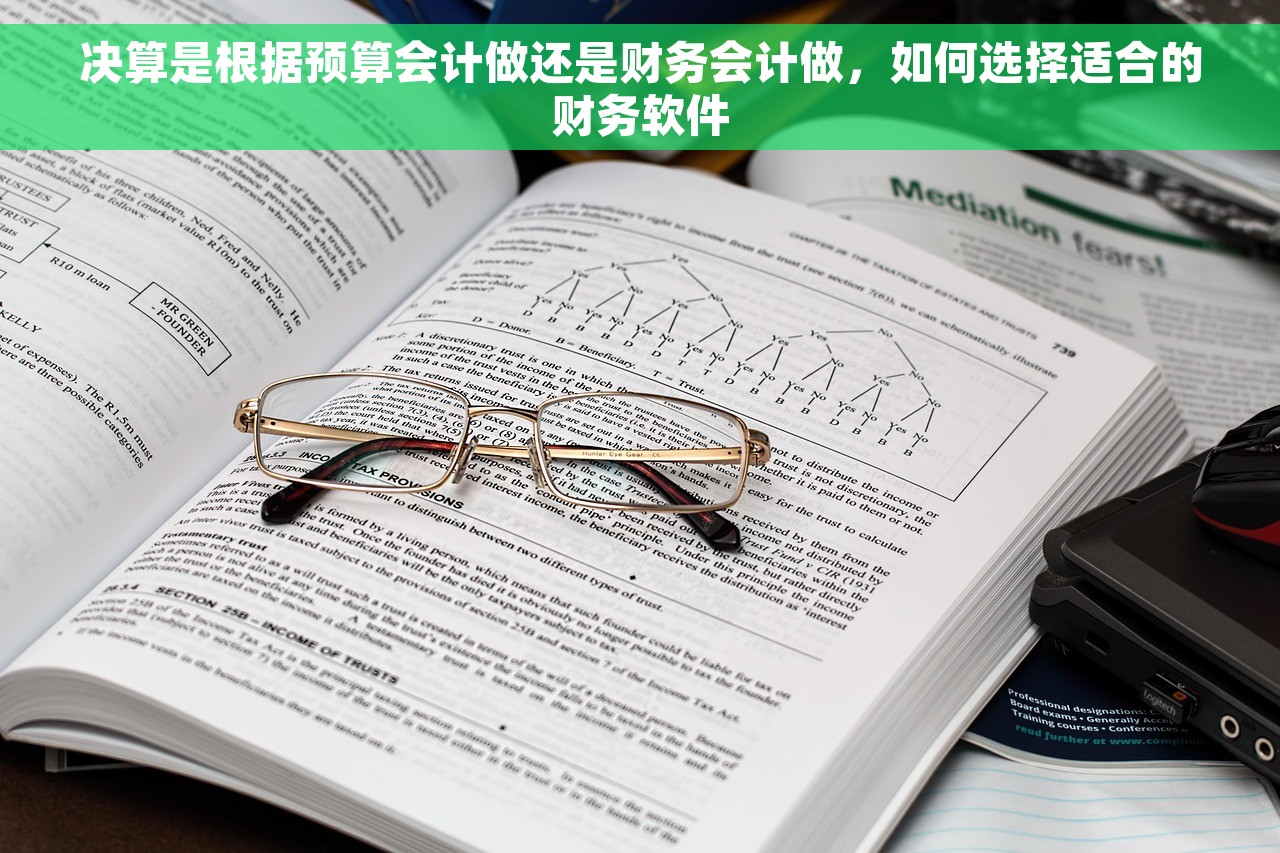 决算是根据预算会计做还是财务会计做，如何选择适合的财务软件