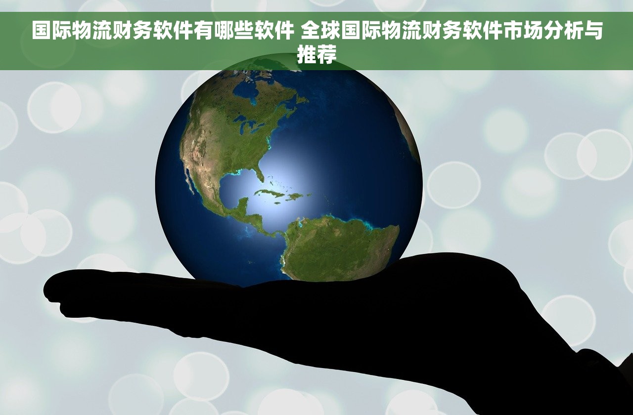 国际物流财务软件有哪些软件 全球国际物流财务软件市场分析与推荐