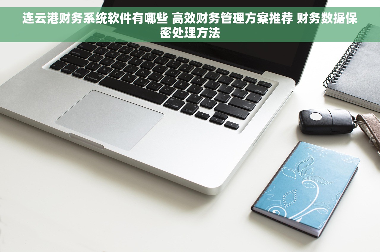 连云港财务系统软件有哪些 高效财务管理方案推荐 财务数据保密处理方法